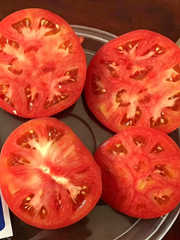Hokkaido Fruit Tomato