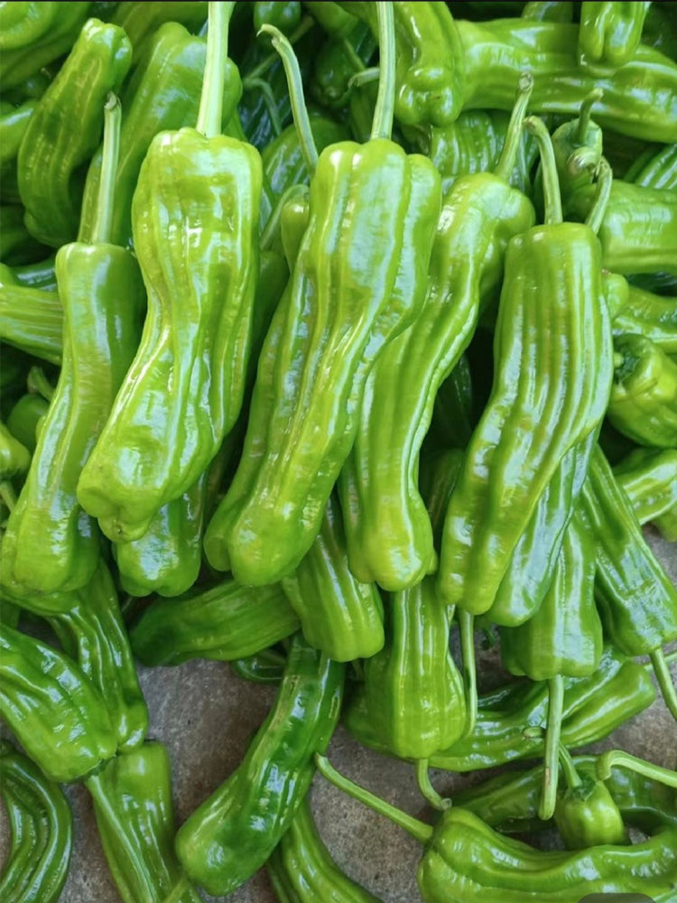 Crisp Thin-Skinned Chilis