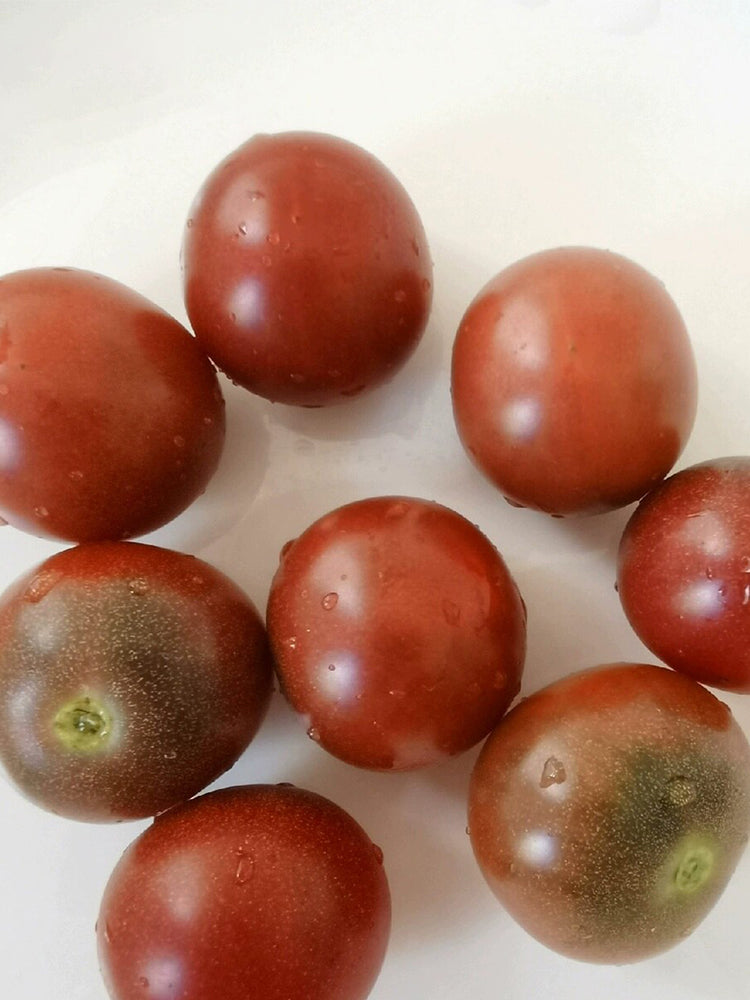 Reinhard Kraft's Purple Sugar Cherry Tomato