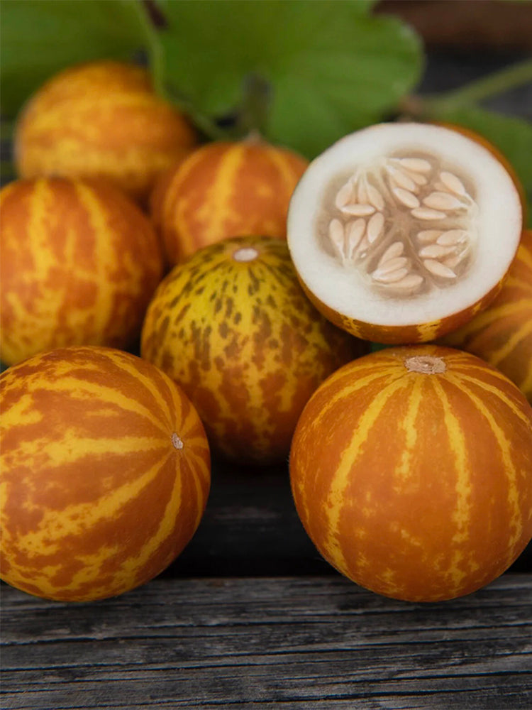 Queen Anne's Pocket Melon