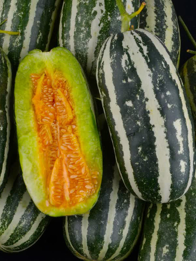 Shengmei No.1 F1 Melon