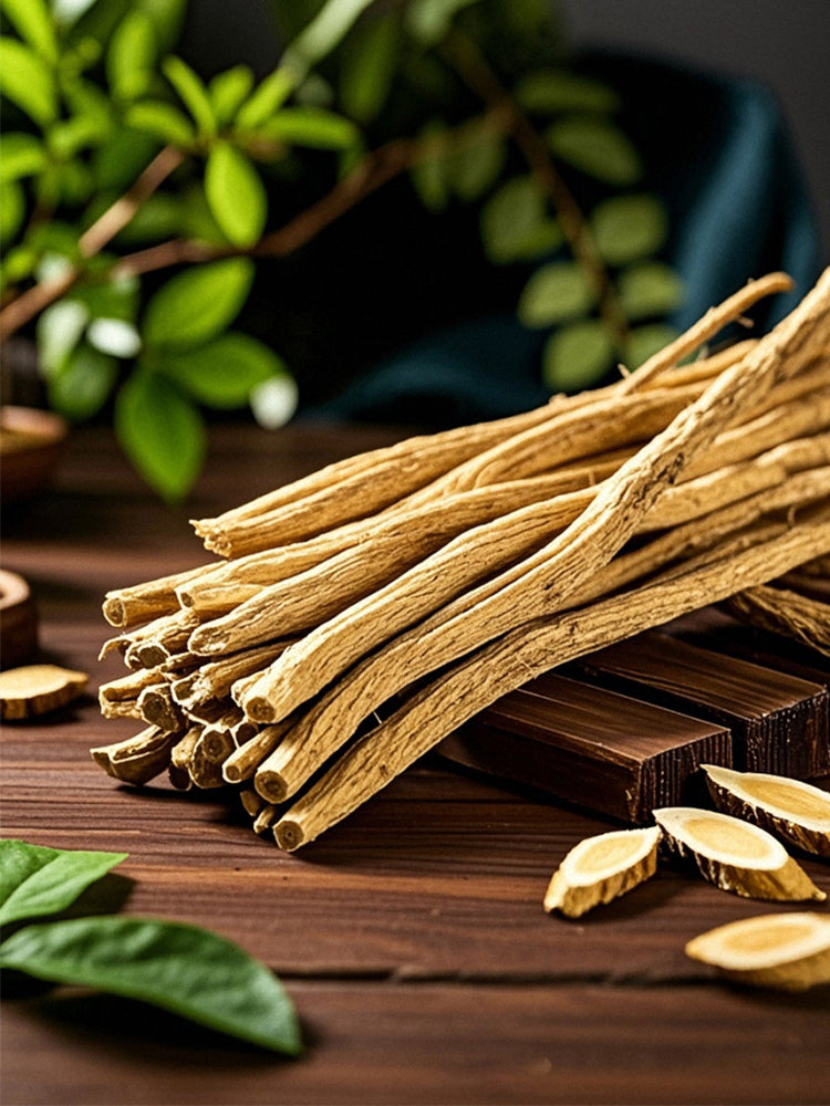 Huang Qi (Astragalus membranaceus)