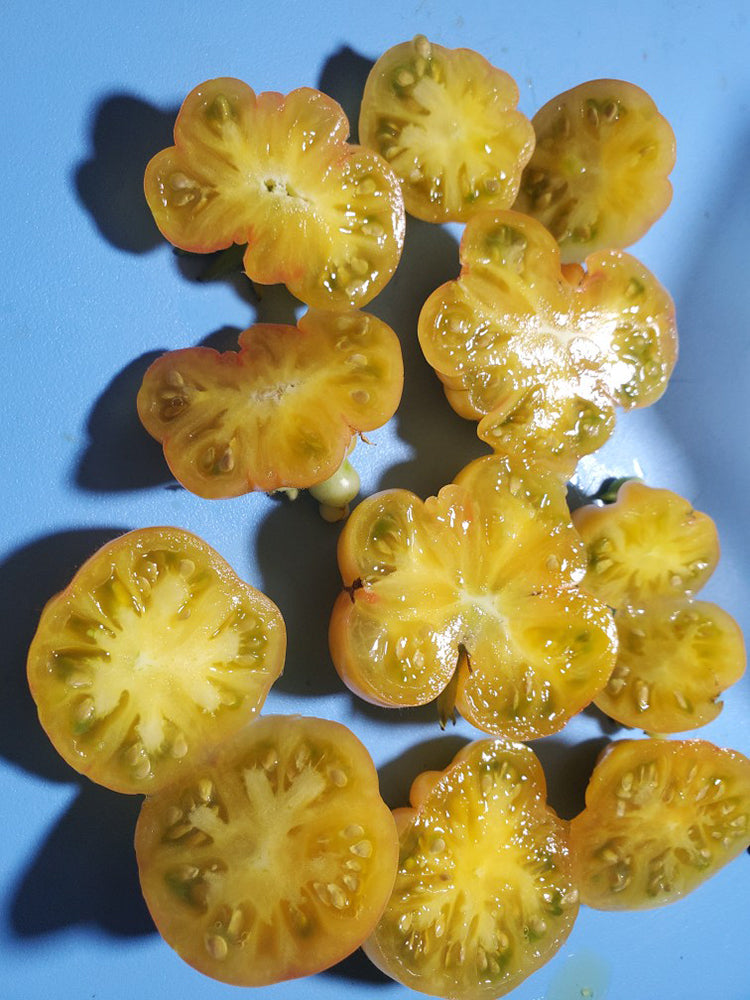 Dean's Chickie Cherry Tomato
