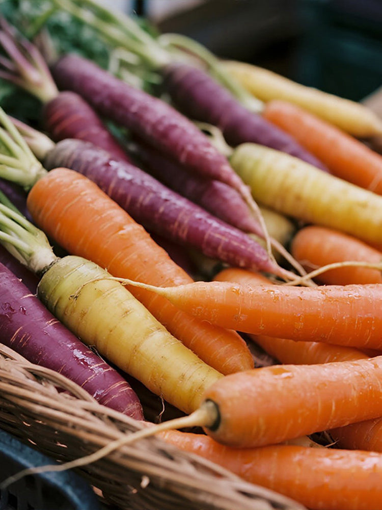 Rainbow Carrot