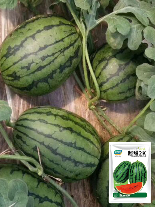 'Super Sweet 2K' Watermelon Seeds