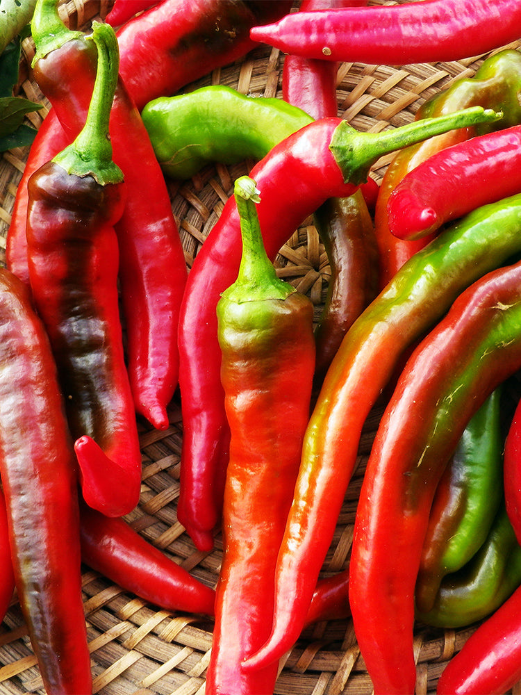 Jimmy Nardello Pepper