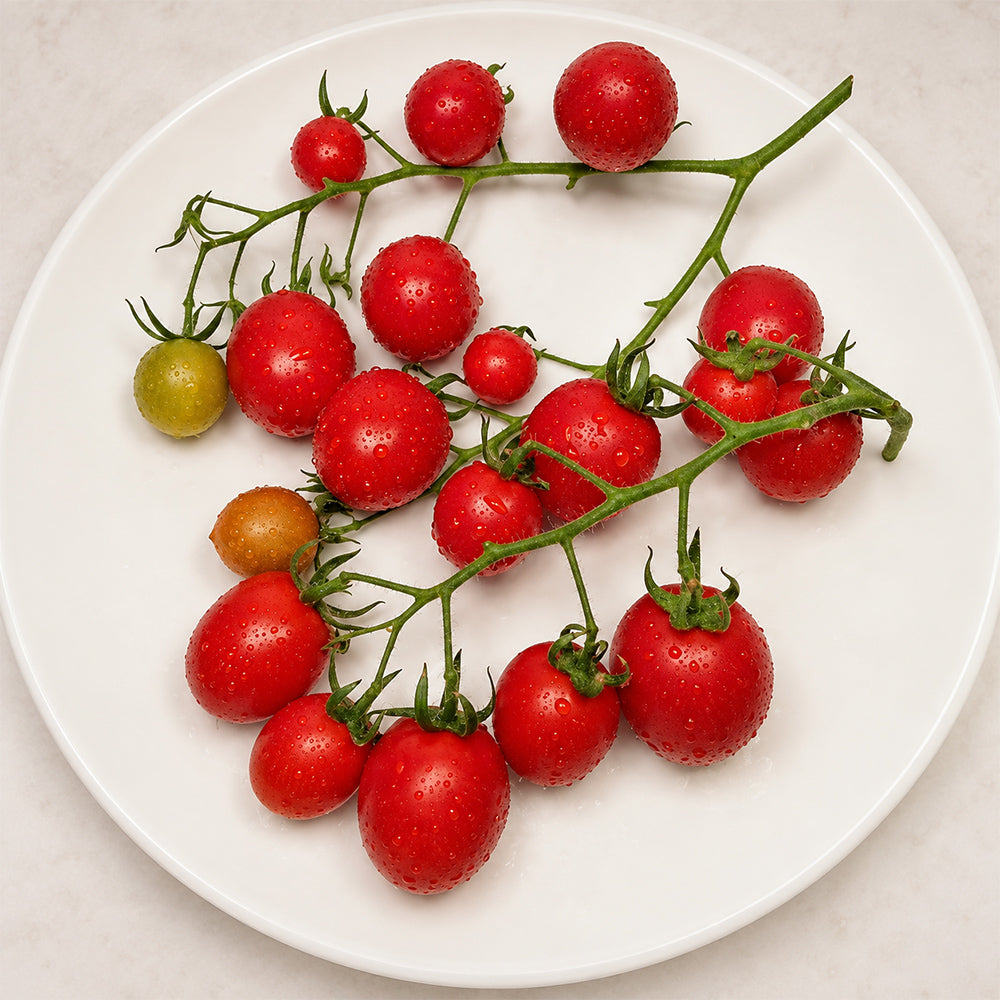 524 Ukrainian Cherry Tomato