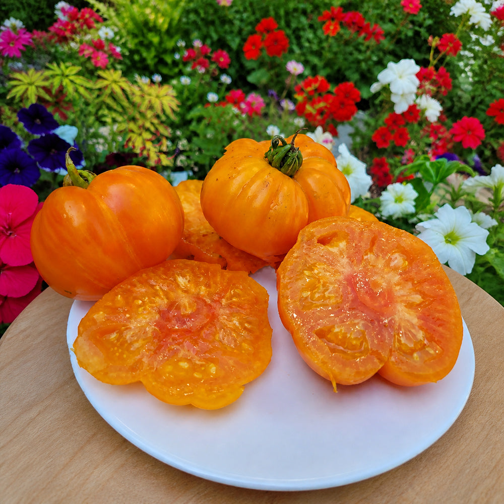 768 Dwarf Neem Variegated Tomato