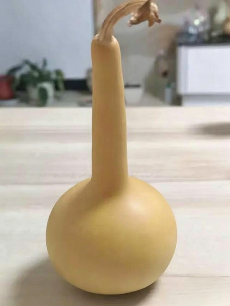 Small Long-handled Gourd