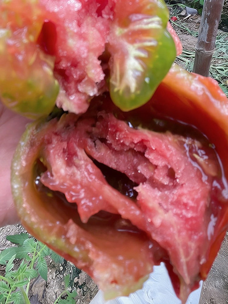 Super Sweet Sandy Strawberry Tomato