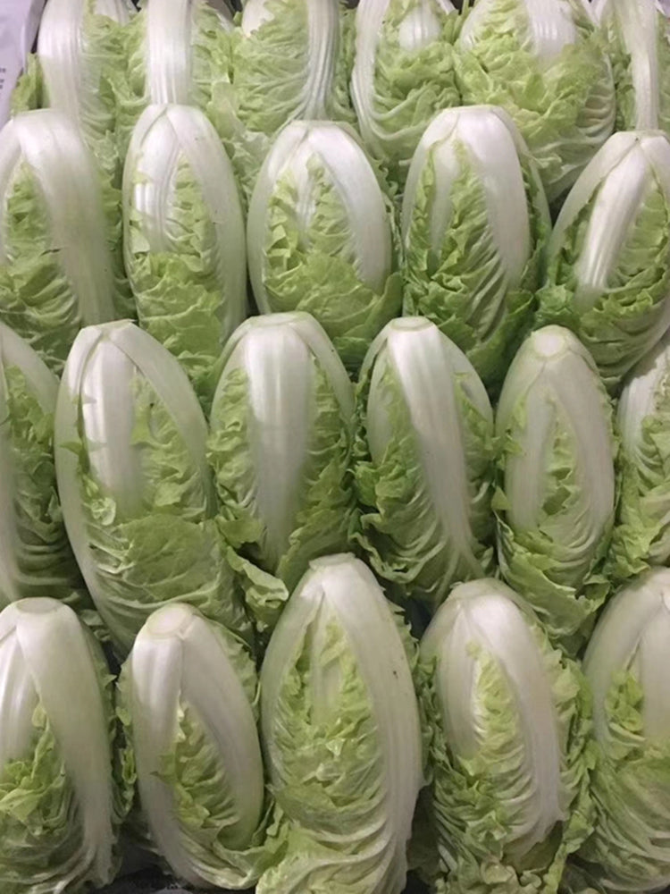 Golden Summer Crown Cabbage