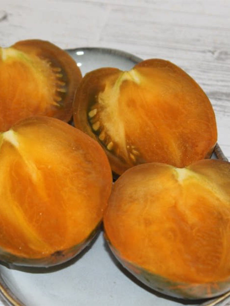 Ochre Veil Tomato