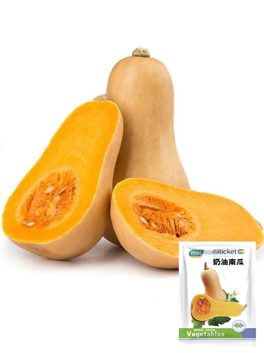 Cream Pumpkins