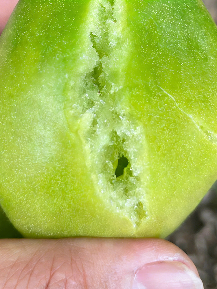 Kiwi Tomato