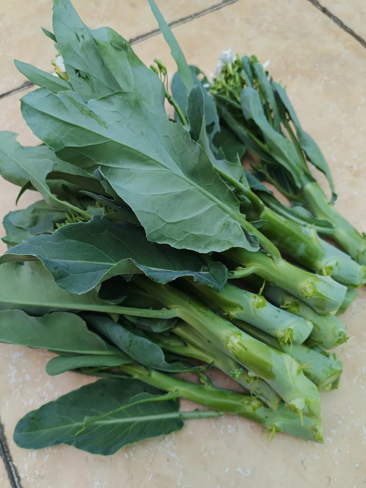 DaBao Chinese Kale