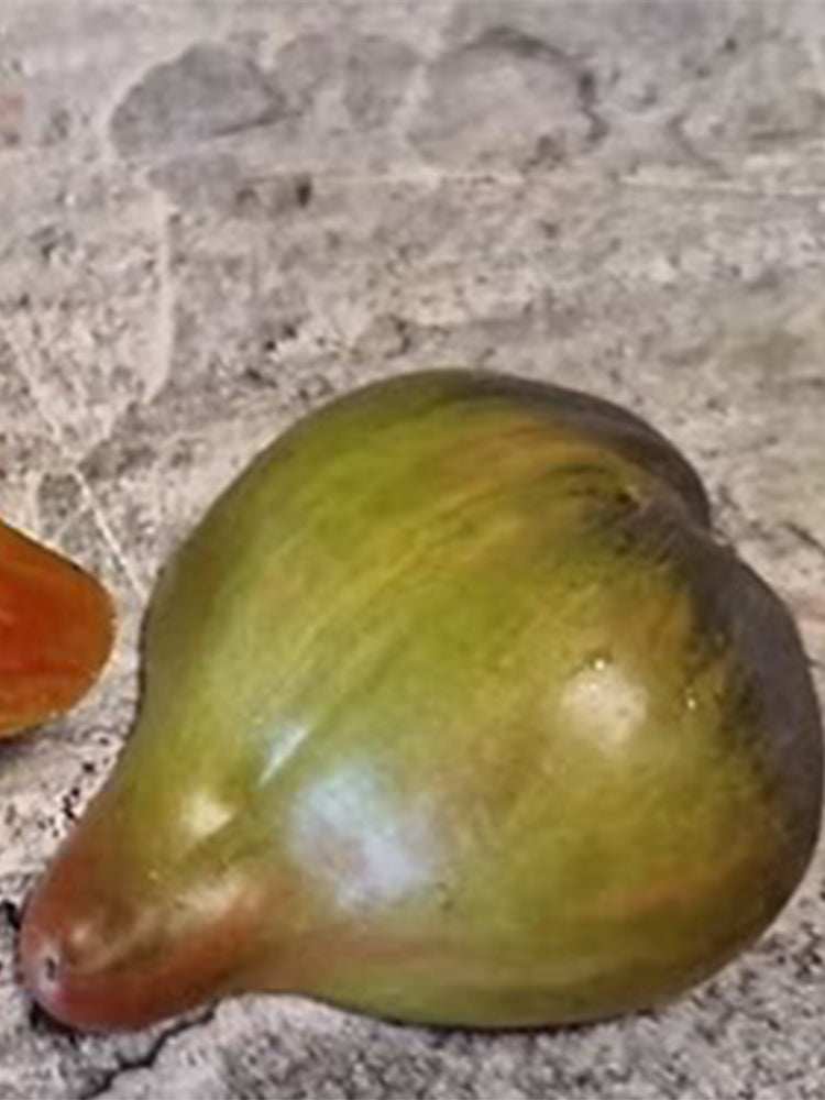 VT16 Tri-Color Tomato