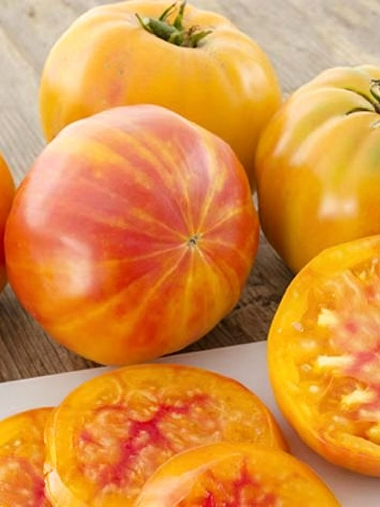 875 Big Rainbow Bicolor Tomato