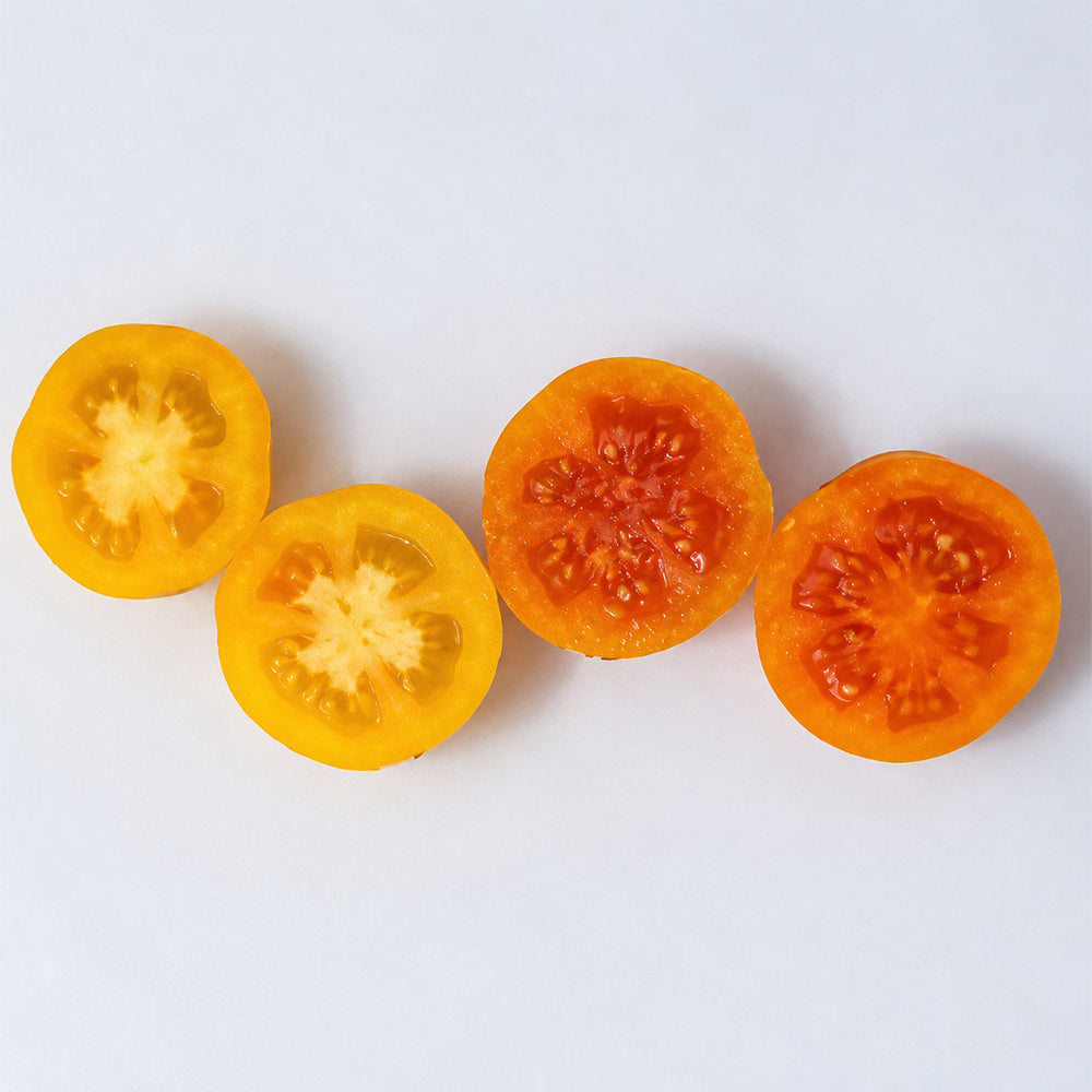 57 Utyonok Dwarf Tomato