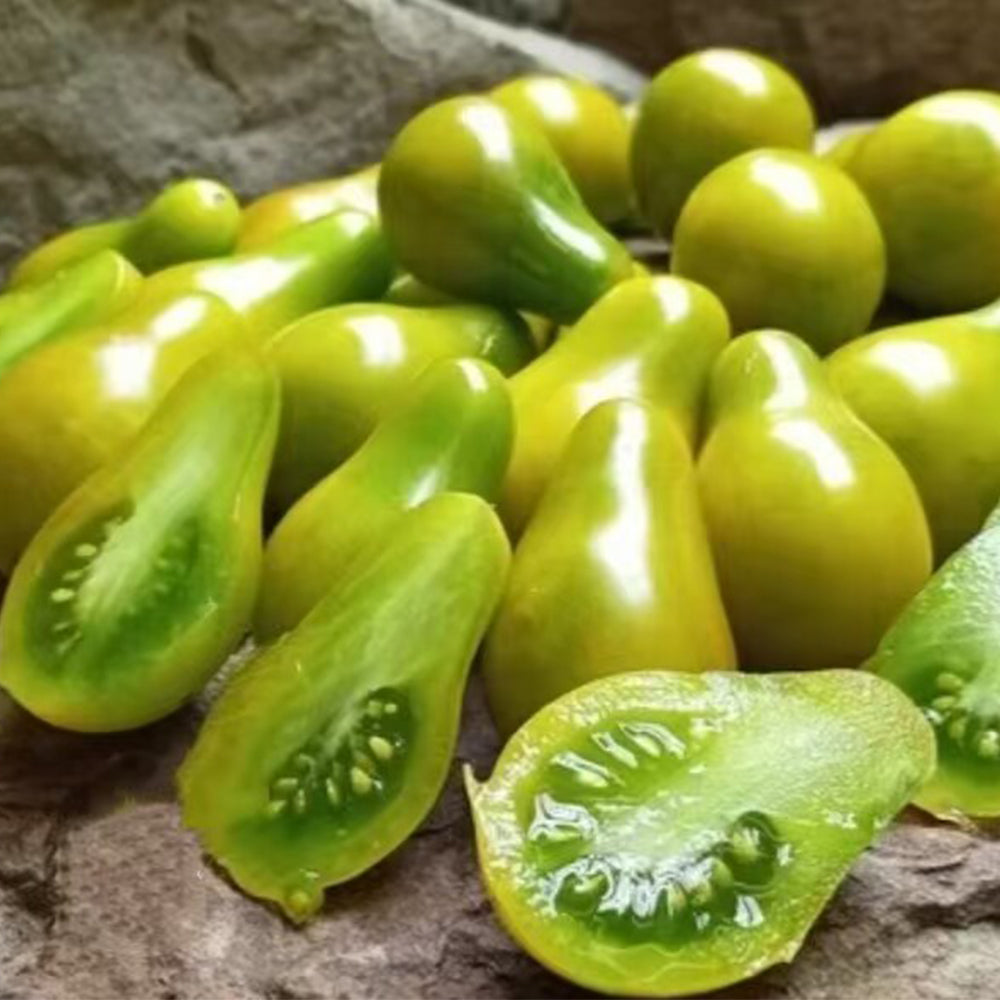 823 Green Pear Tomato