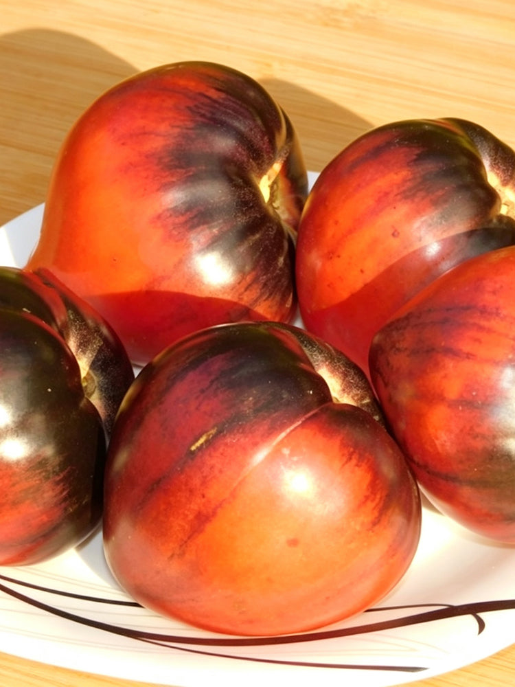 1070 Galobo Tomato