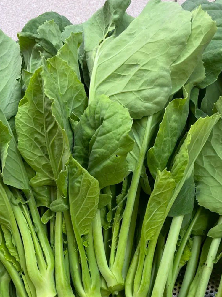 Jiemei Taoshan Chinese Broccoli