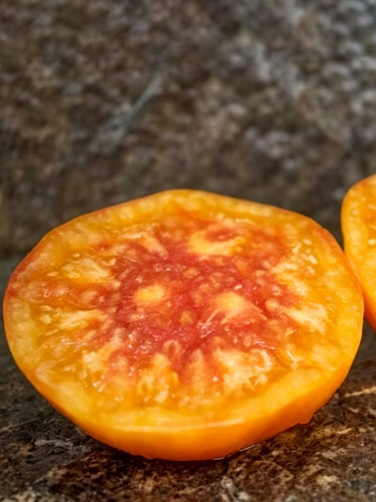 879 Southern Pride Tomato