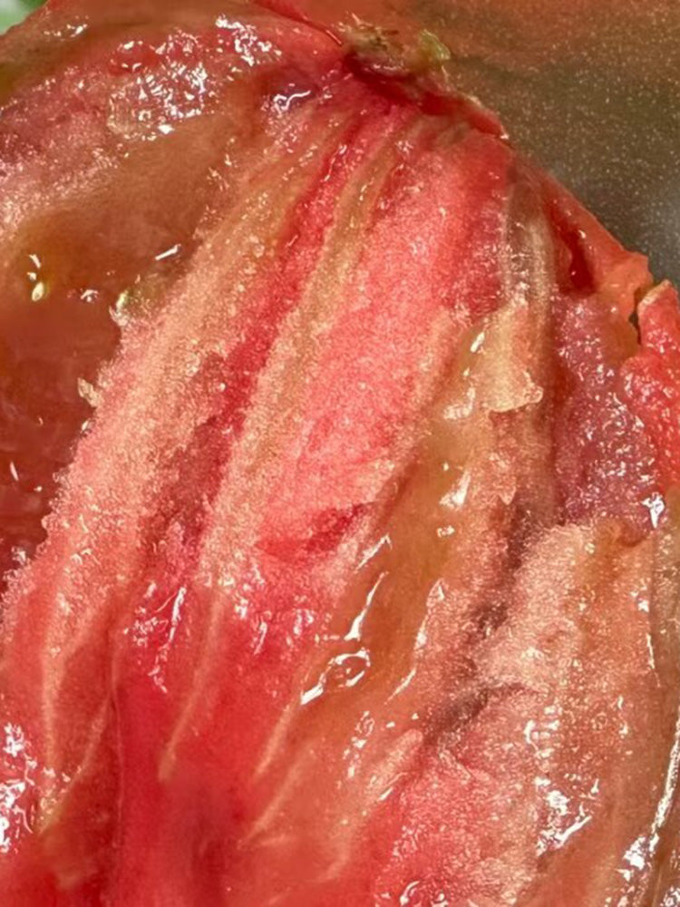 1103 Dark Brown Honey Tomato