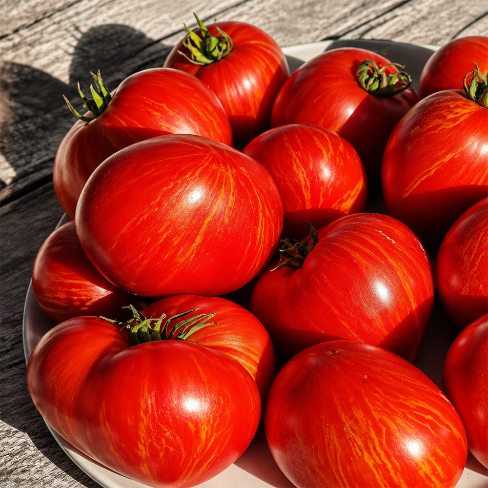 167 Dwarf Speckled Heart Tomato