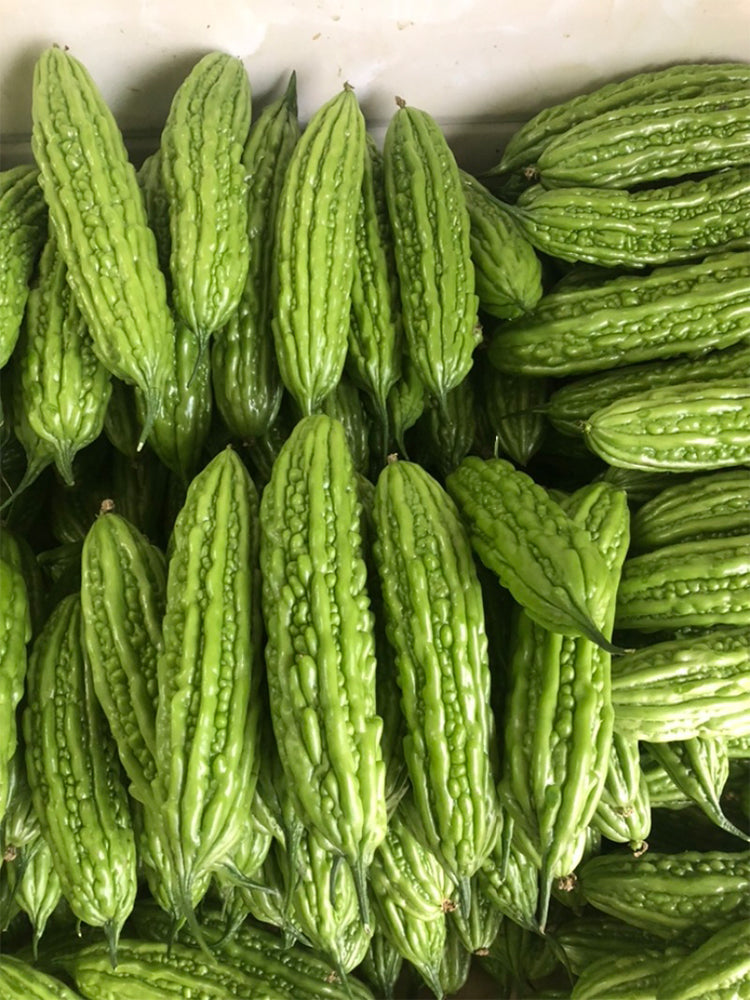 Silver Jubilee Pearl Bitter Gourd F1