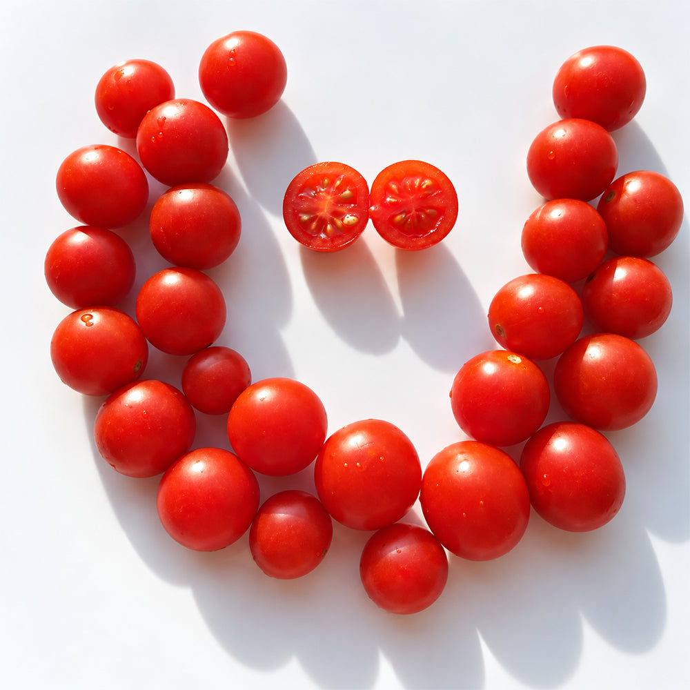525 Moroco Cherry Tomato