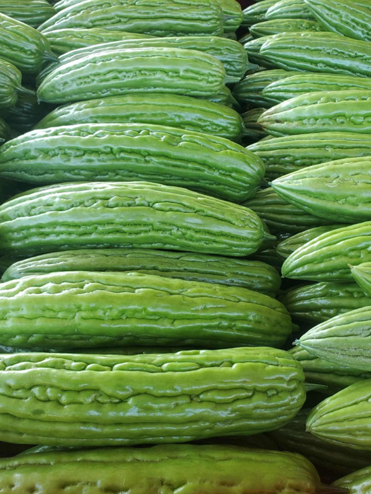 Jiemei 23 Bitter Gourd