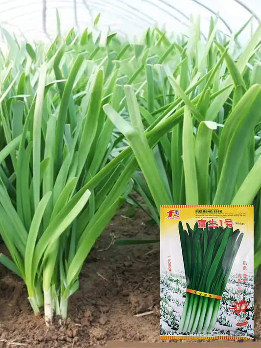 Fusheng No.1 Snow Leek