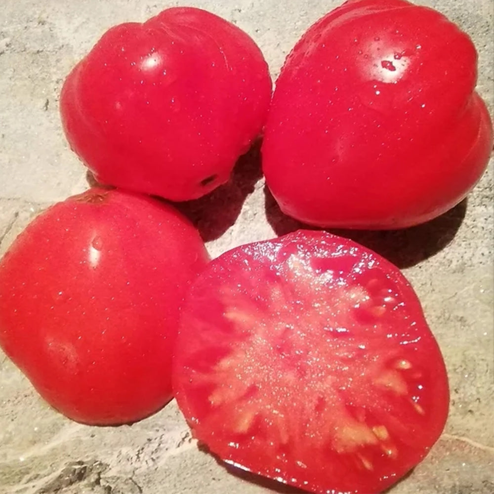 307 Heartwarming Kiss Tomato