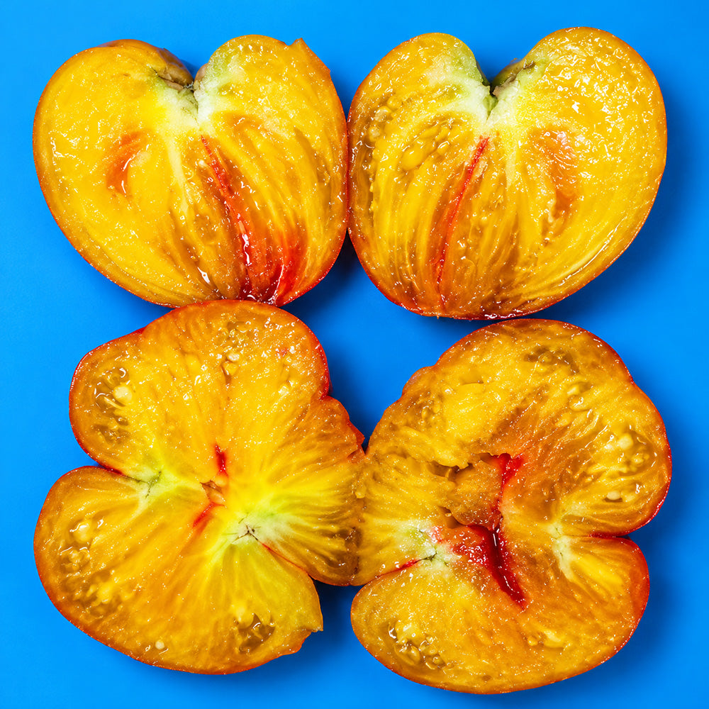36 Pomaranch Tomato
