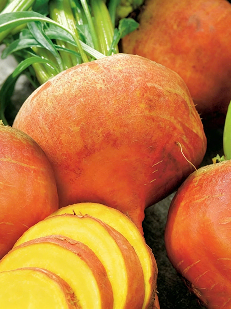 Yellow Beetroot