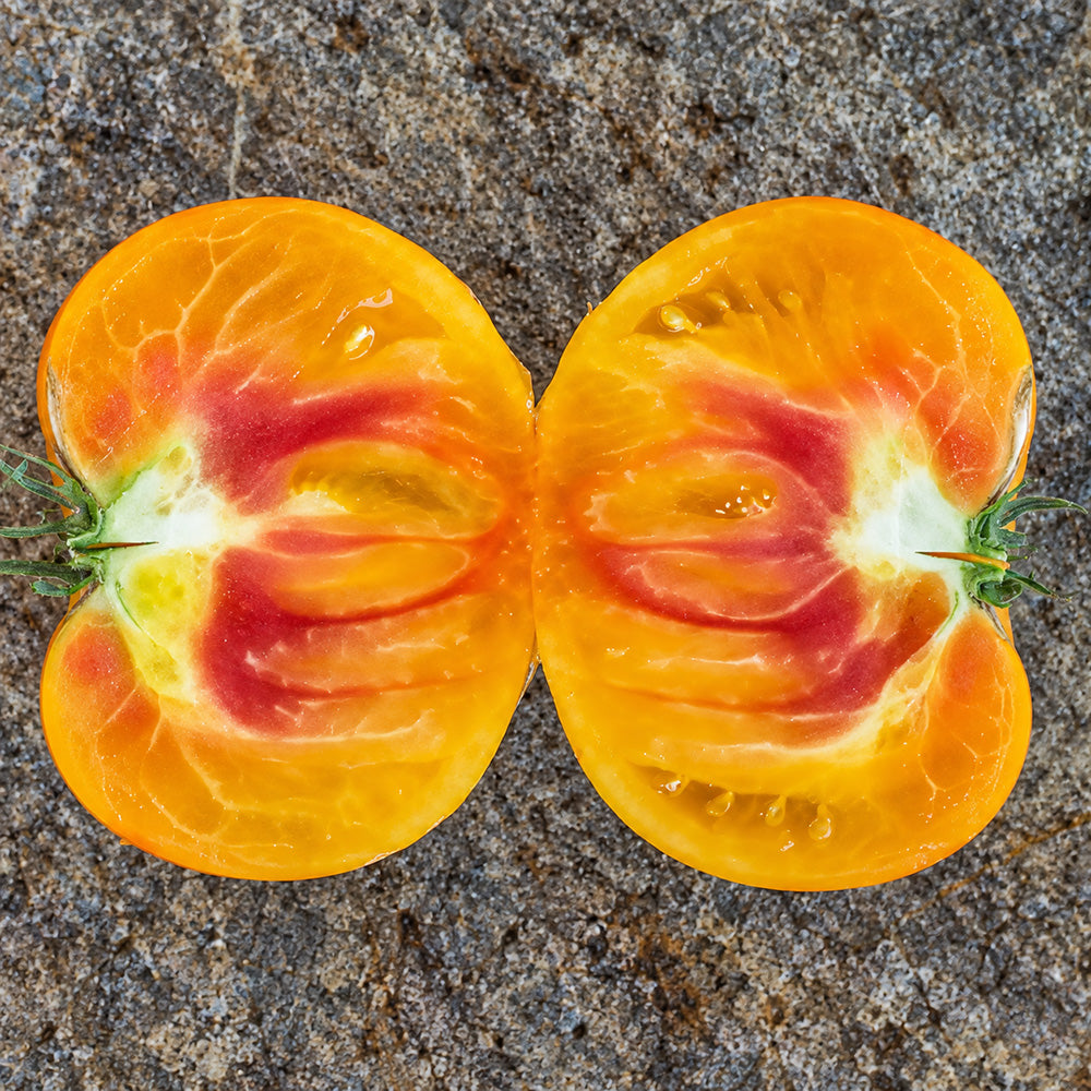 631 Orange Orangutan Tomato