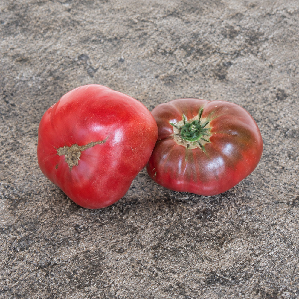 260 Dana's Dusky Rose Tomato