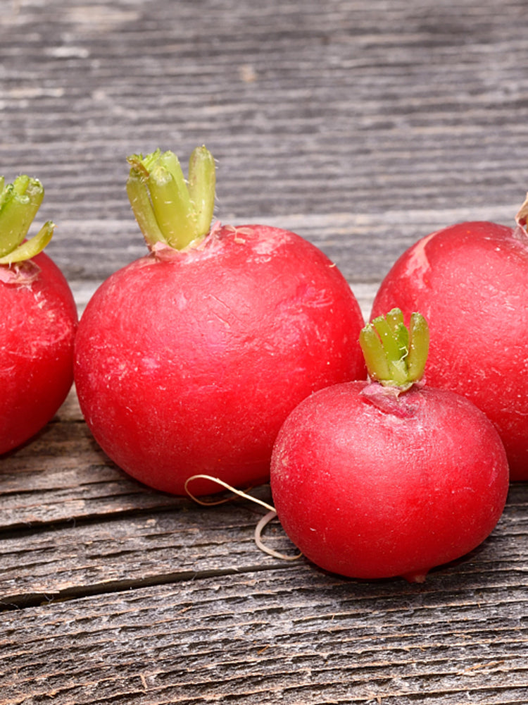 Meiying Cherry Radish