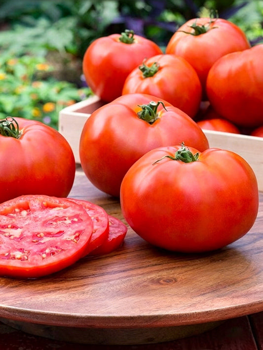 Venice F1-199 Tomato