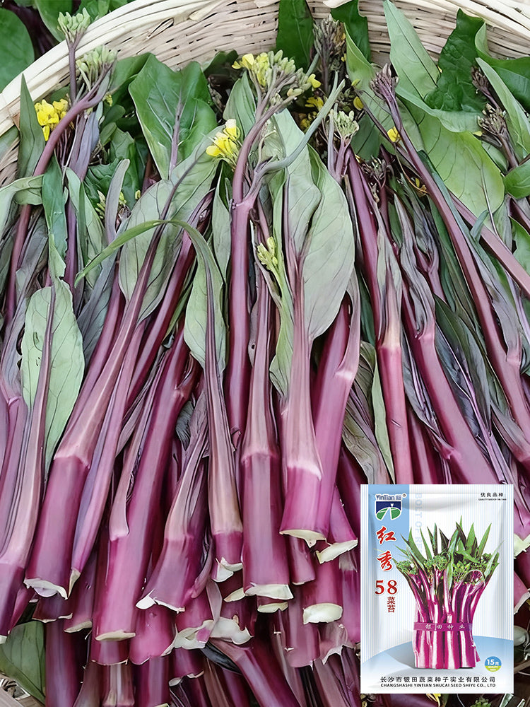 'Hongxiu 58' Flowering Stalk