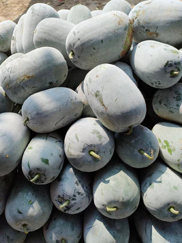 Baoqi Taro-Scented Winter Melon