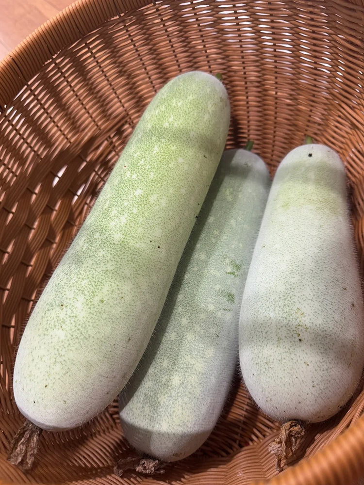 Baocui F1 Hybrid Hairy Gourd