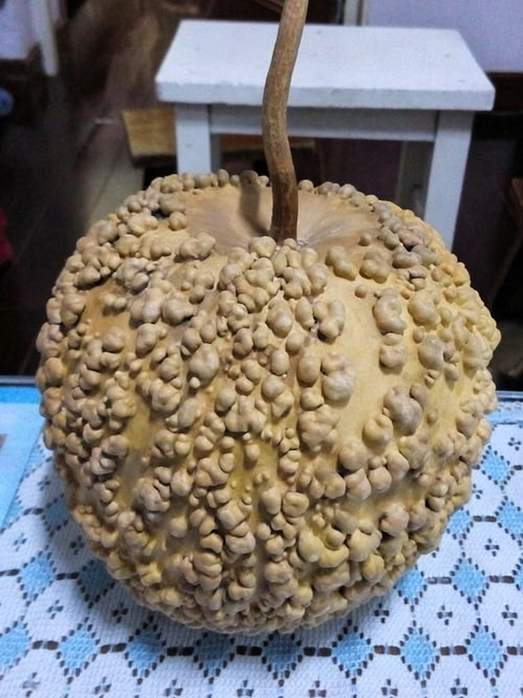 Man Tian Xing Gourd