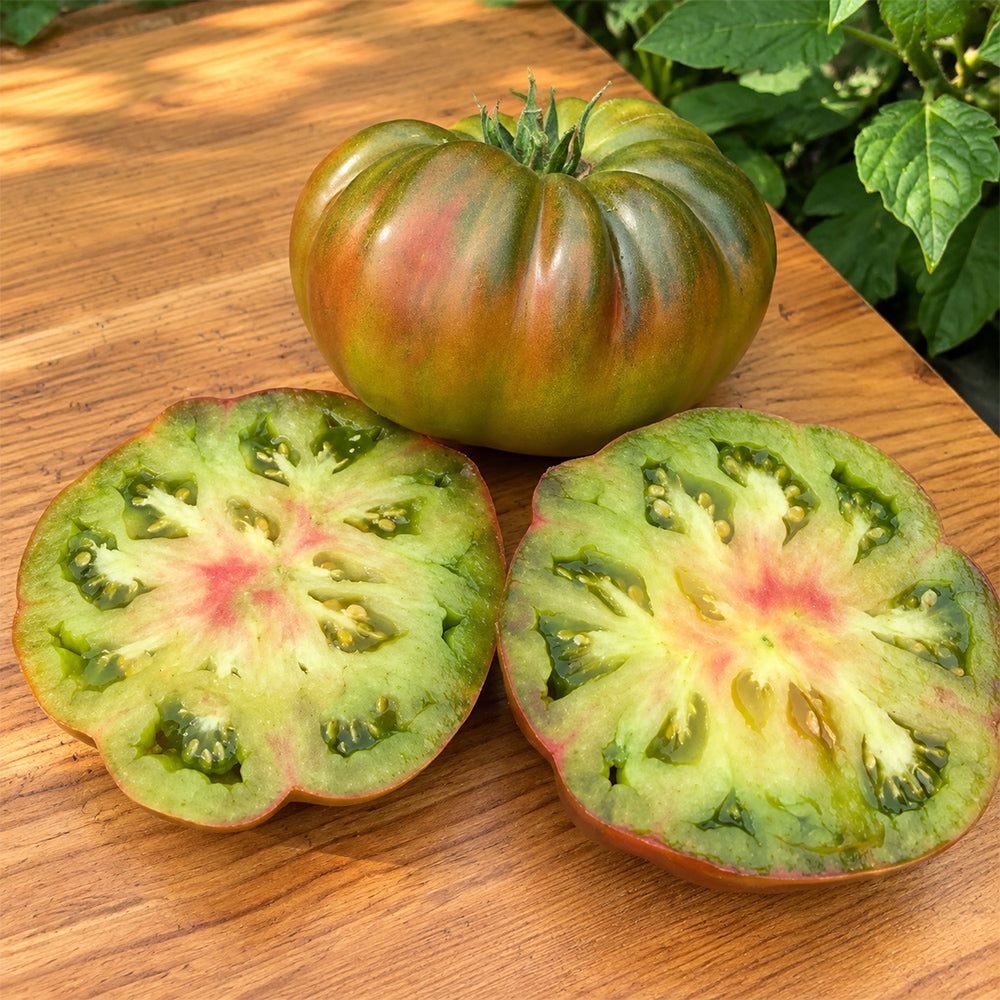 145 Renegade Tomato