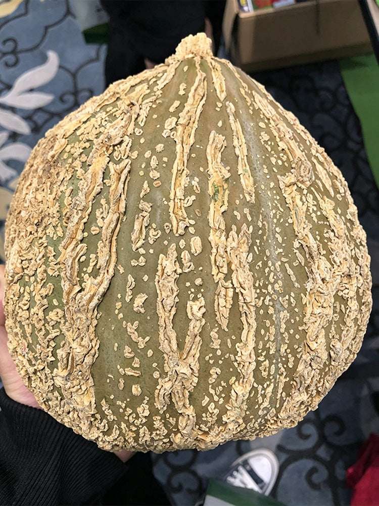 Fushun Ribbed Ugly Pumpkin