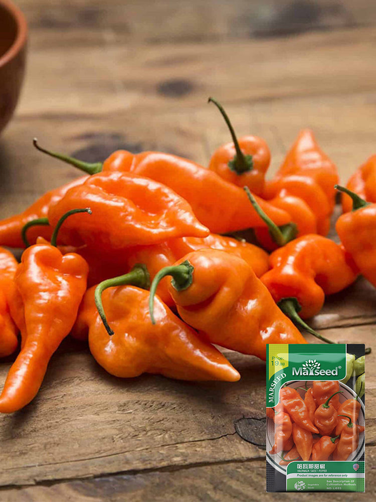 Habanada Sweet Pepper