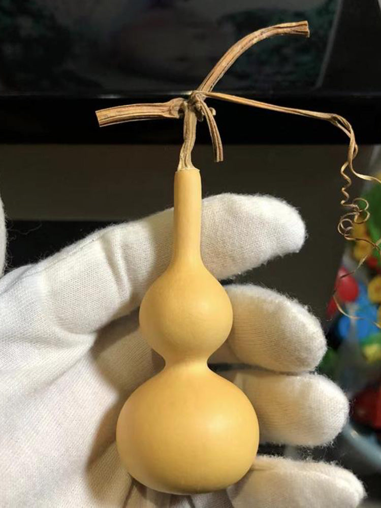 Tianjin Mouth Gourd