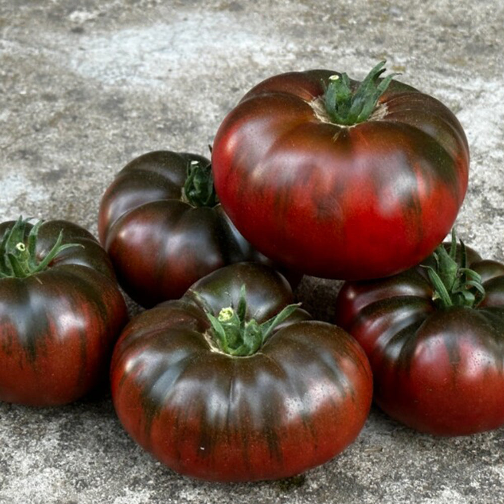 811 Paris Tomato