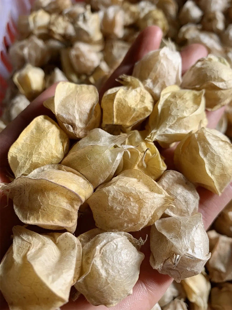 Golden Ground Cherry