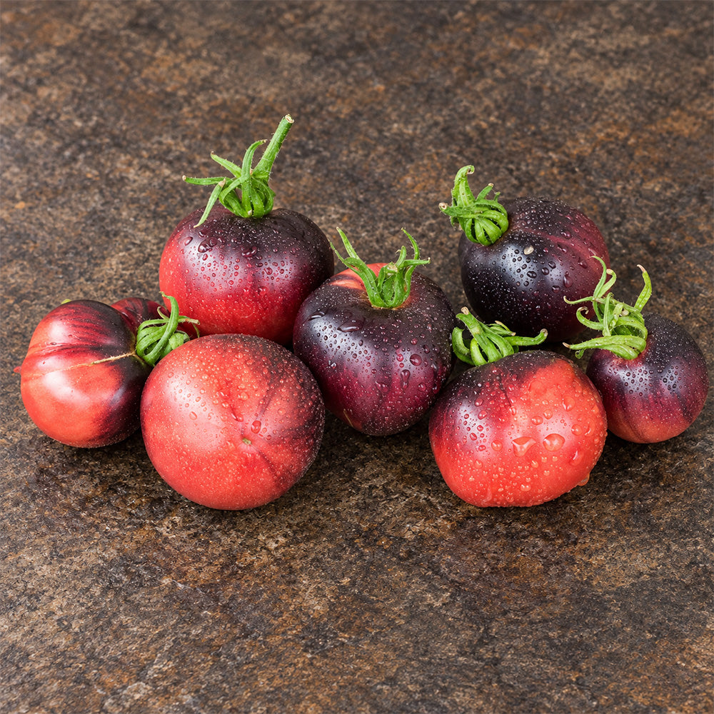 421 Ozark Sunset Tomato
